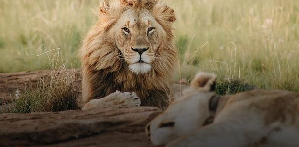  ���� ������ ����� �������� �������� �������� mars ����� 