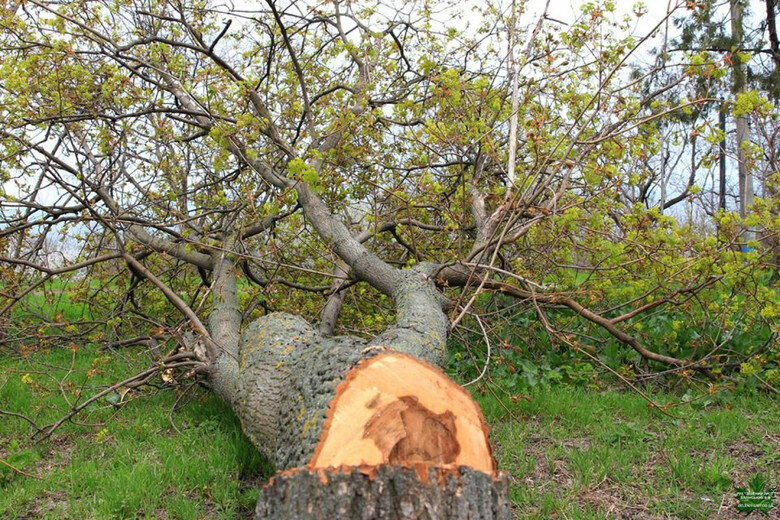 ����: 06252.com.ua