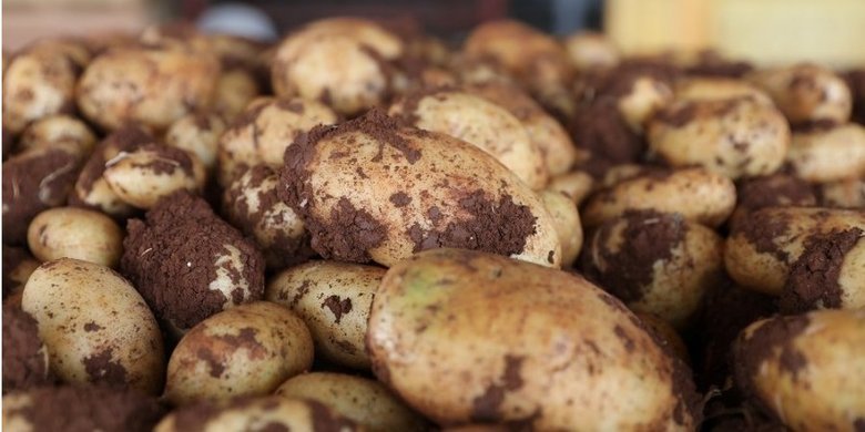  ������� ������������� ��������� �����-���� ����� ��� 