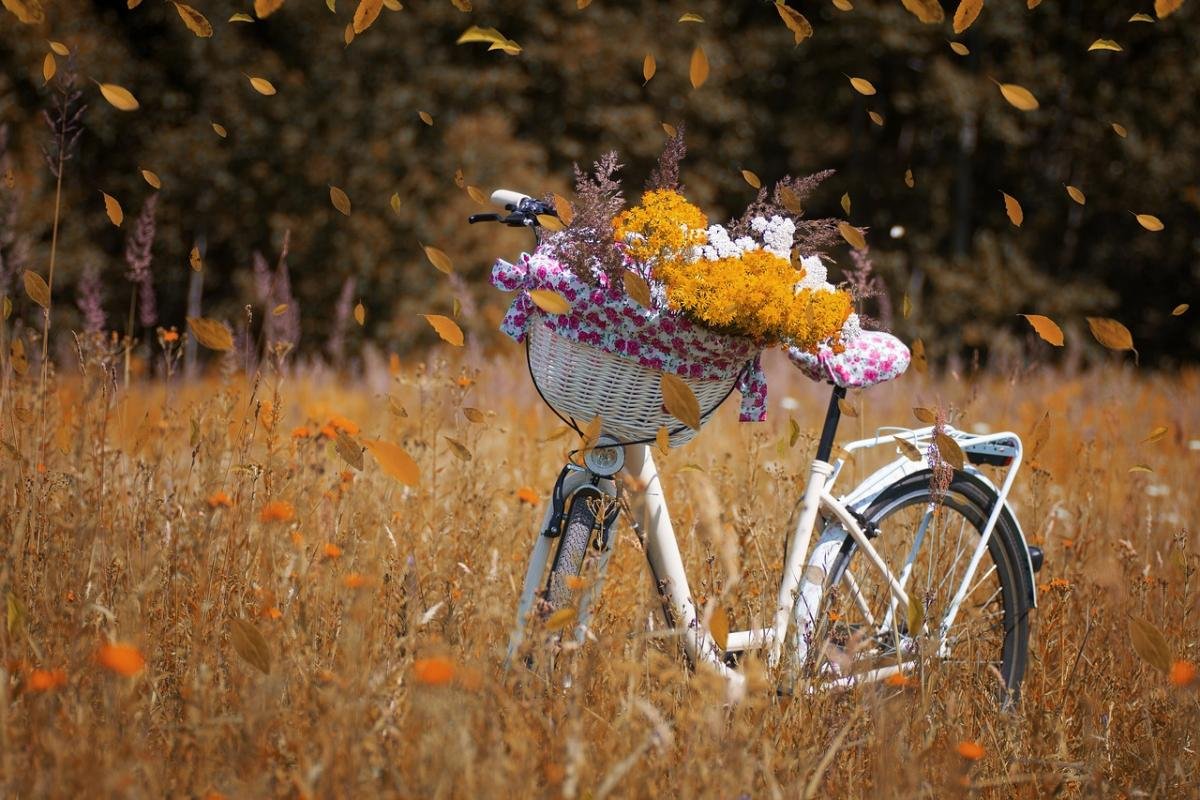 ����: 06252.com.ua