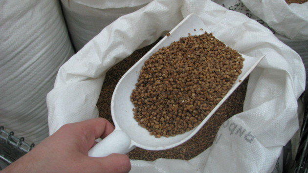  ������� ����� ���������� ������ ������� ������� ������� 