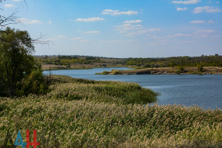 Ценным видом рыбы родом с Дальнего Востока и из Китая заселили водоемы ДНР в 2020 году 