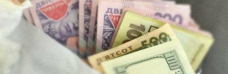 Украинцев ждет рост прожиточного минимума Украинцев ждет рост прожиточного минимума, Ефименко Анастасия